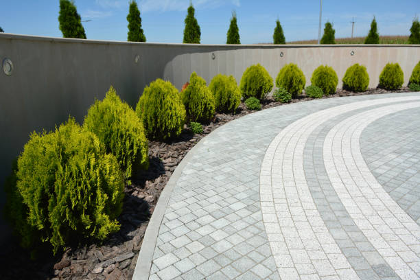 Trusted Dover, FL Driveway Pavers Experts